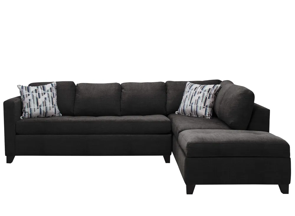 Dexter 2-pc. Sofa Chaise w/Queen Sleeper | Raymour & Flanigan