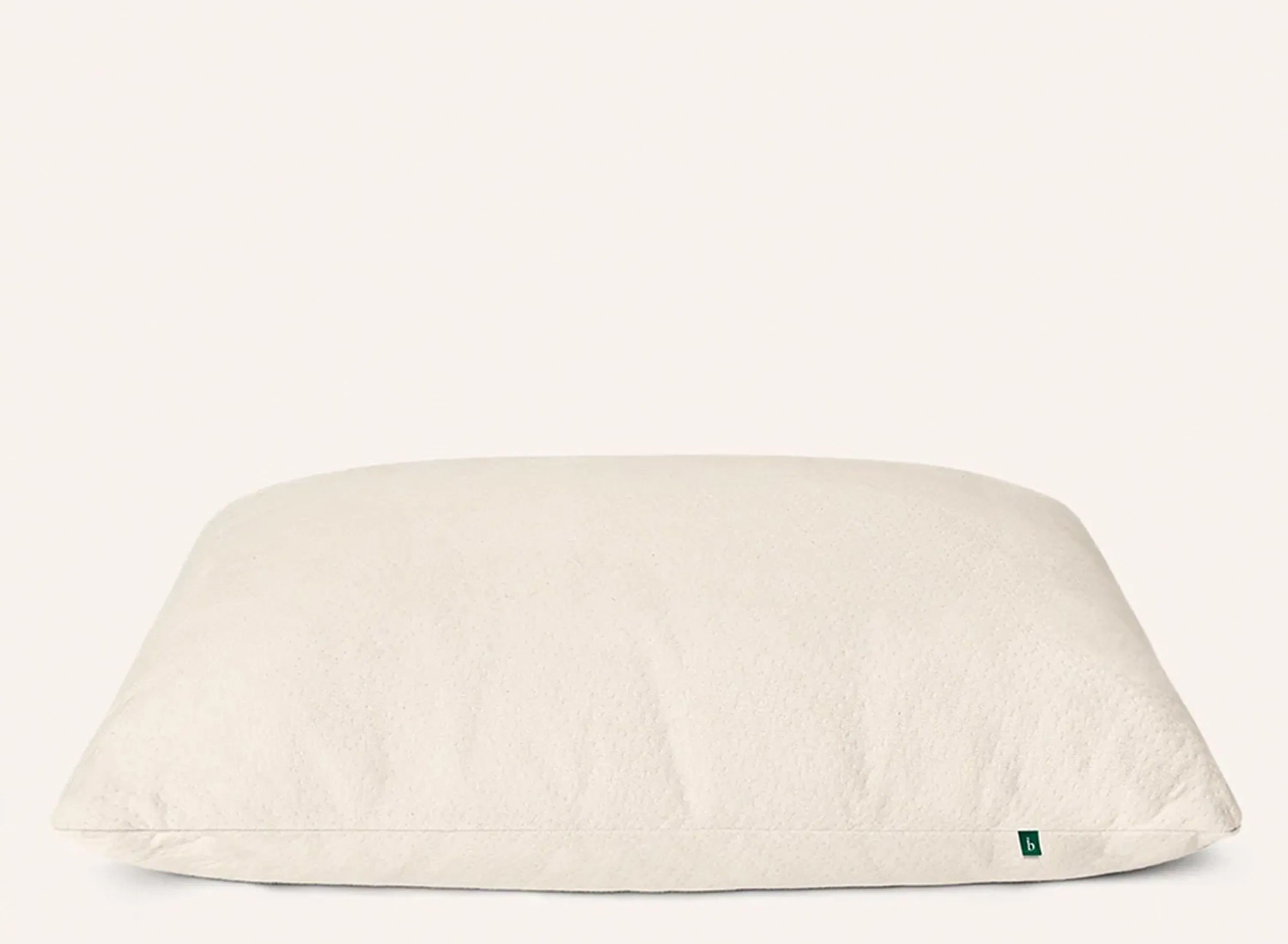 Birch Organic Pillow | Raymour & Flanigan