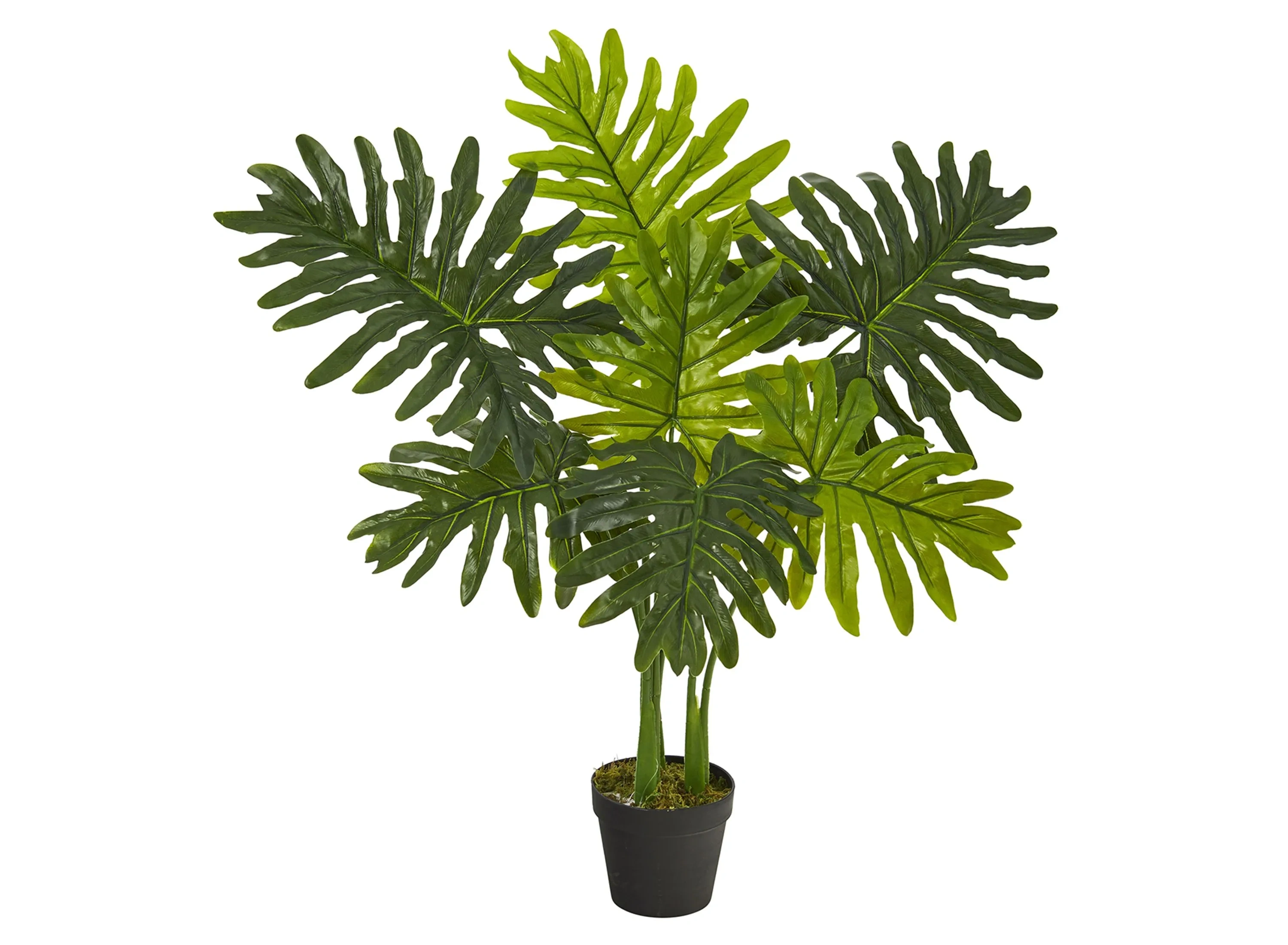 Philodendron Artificial Plant (Real Touch) | Raymour & Flanigan