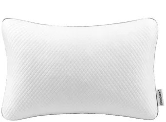 Beautyrest Absolute Relaxation Pillow  Product_Grid_Image