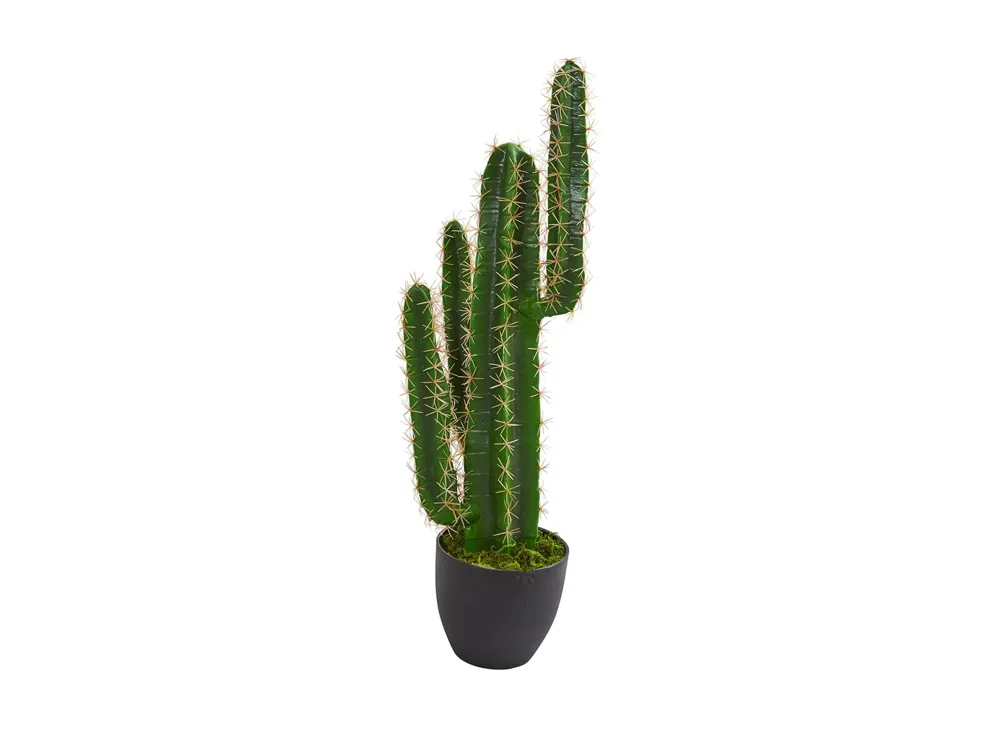 2.5ft. Cactus Artificial Plant