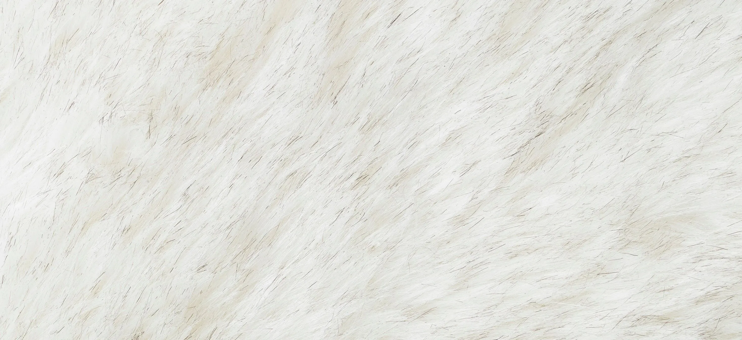 Duchess Chaise Lounge