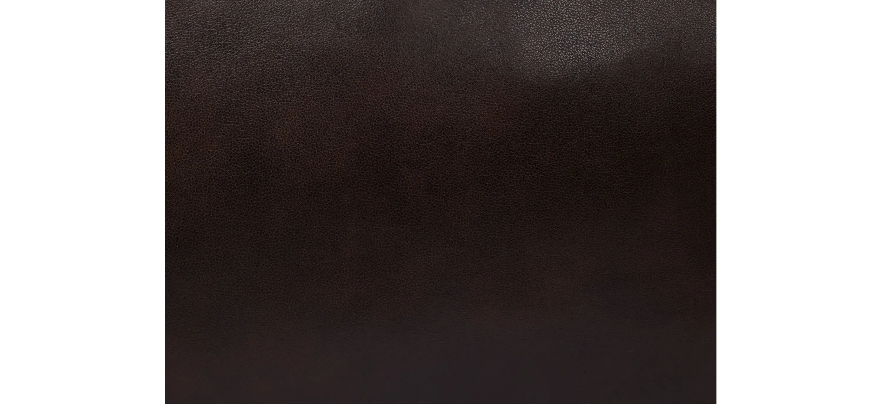 Calabria Leather Twin Sleeper Brown Product_Swatch_Detail_Image