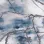 Gray/Blue