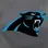 Carolina Panthers