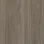 Modern Hickory