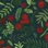 Holly Evergreen