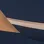 Champagne/Navy