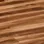 Acacia