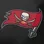 Tampa Bay Buccaneers