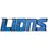 Detroit Lions