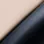 Champagne/Black