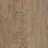 Yucca Oak
