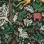 Frolic Evergreen