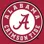 University Of Alabama