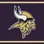 Minnesota Vikings