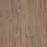 Burnished Beige