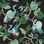 Josephine Chinoiserie Black