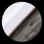 Gray Brown/White