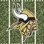 Minnesota Vikings