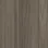 Modern Hickory