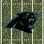 Carolina Panthers
