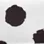 White/Black Polka Dot