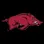 University Of Arkansas