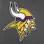 Minnesota Vikings