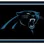 Carolina Panthers