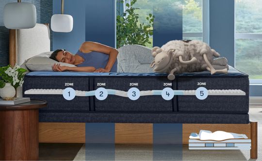 Serta | Raymour & Flanigan