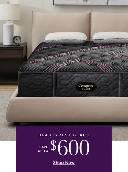 Beautyrest Black